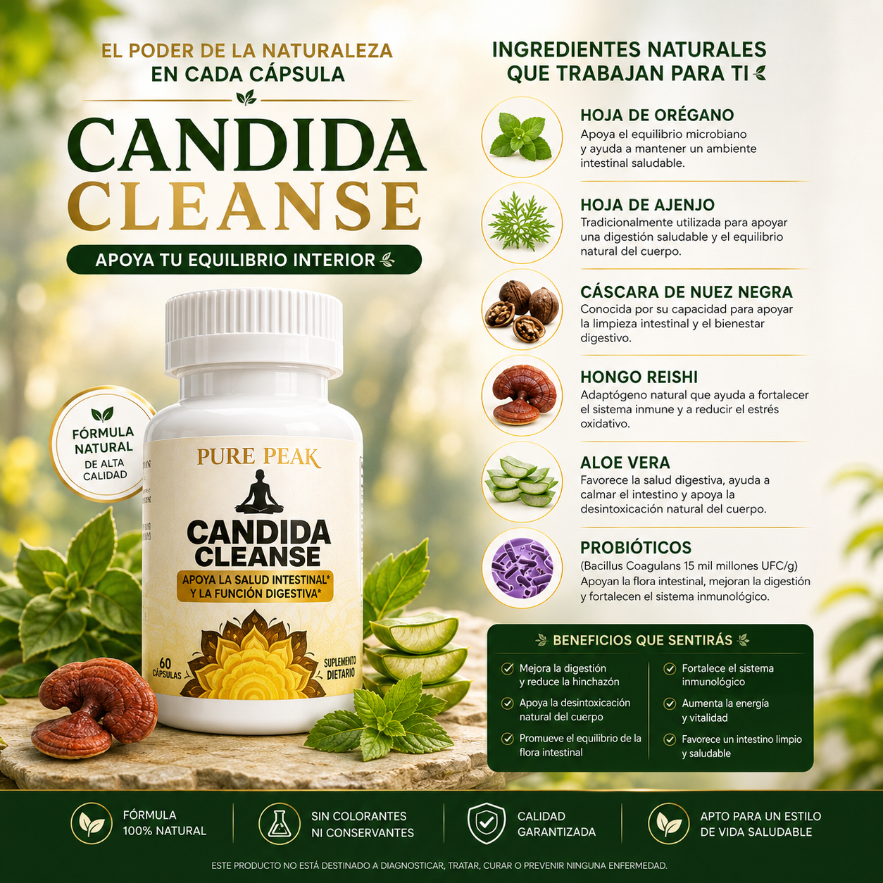 Candida Cleanse - Bienestar que comienza desde adentro.