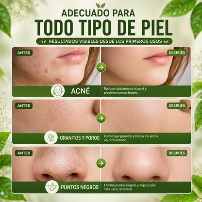 MASCARILLA TE VERDE EN BARRA